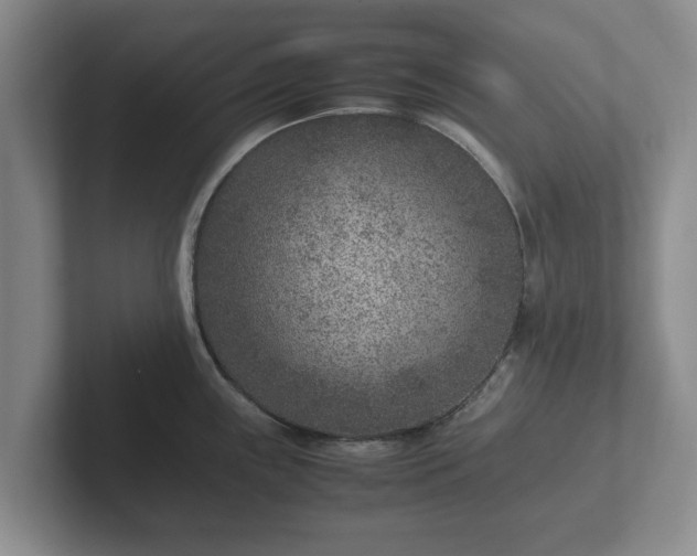 X0000102381243200808081131
