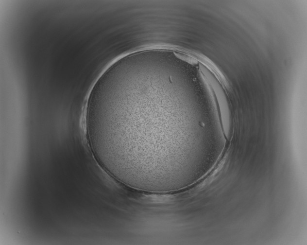 X0000102381244200808081131