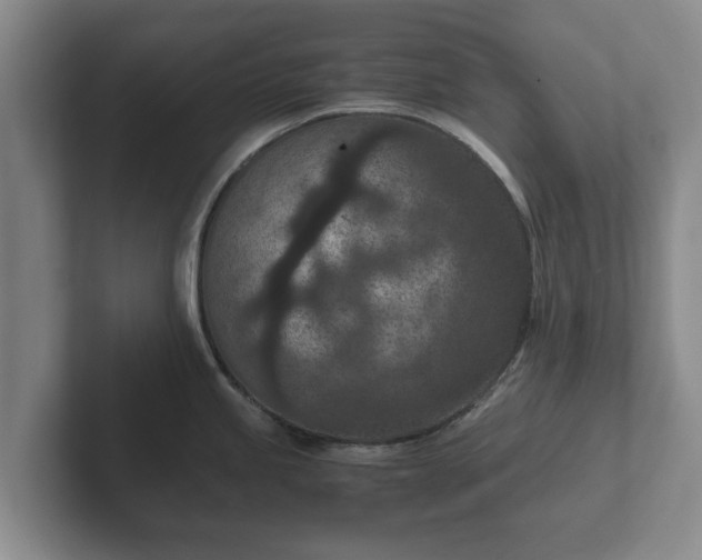 X0000102381245200808081131