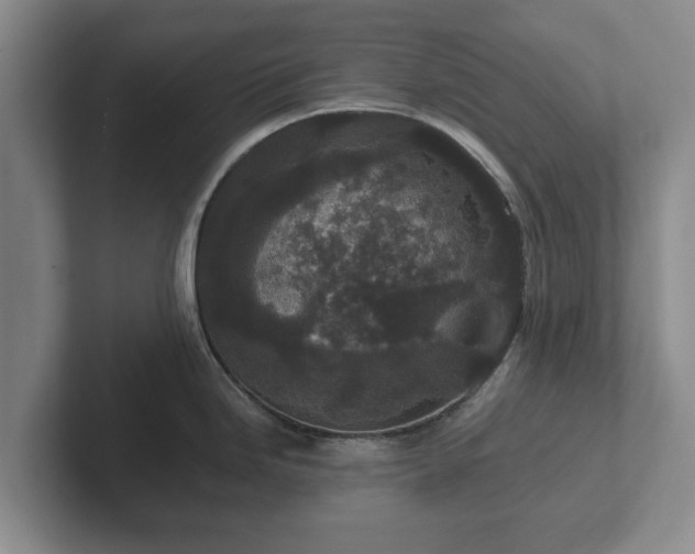 X0000102381246200808081131