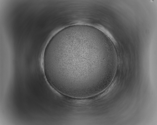 X0000102381247200808081131