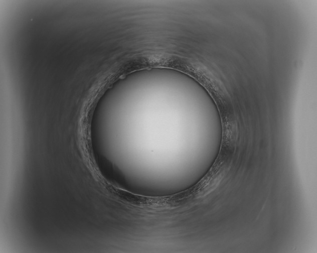 X0000102381249200808081130