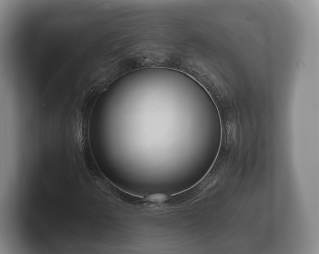 X0000102381250200808081130
