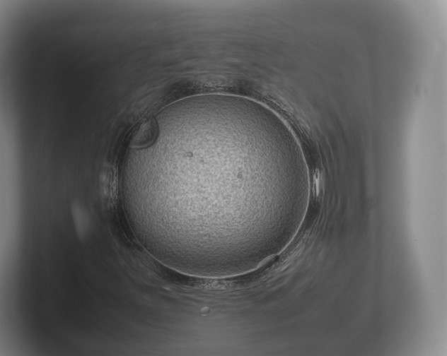 X0000102381251200808081130