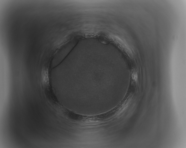 X0000102381252200808081130