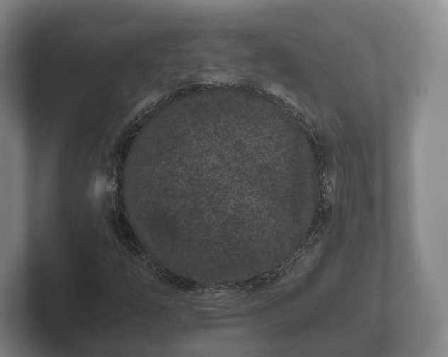 X0000102381254200808081130