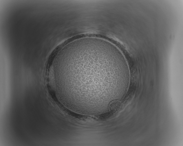X0000102381255200808081130