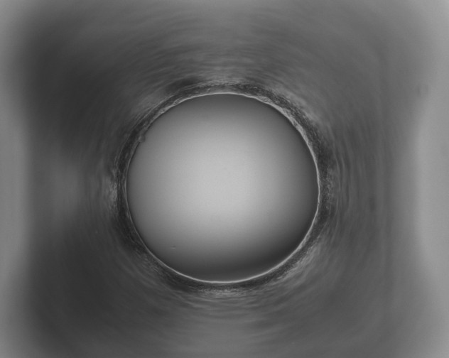 X0000102381257200808081130