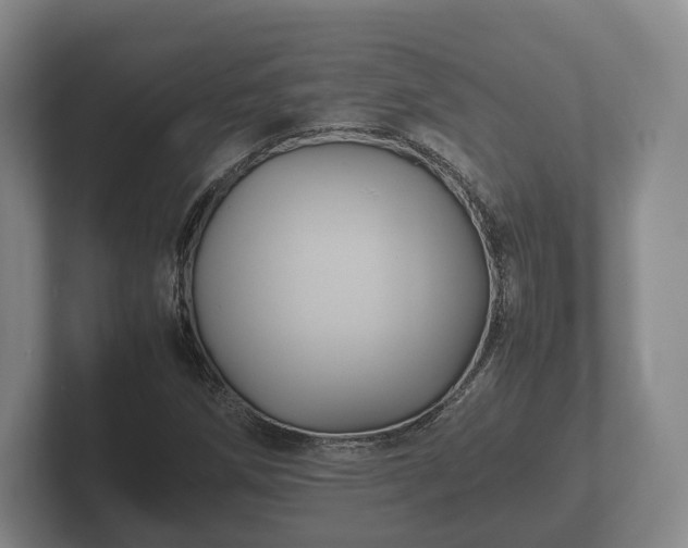 X0000102381258200808081130