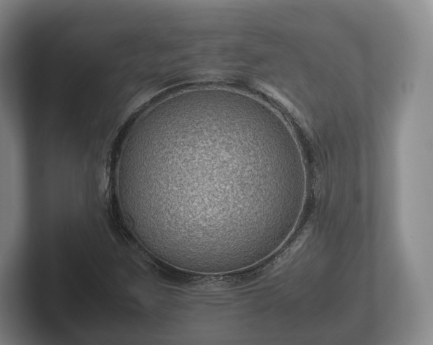 X0000102381259200808081130