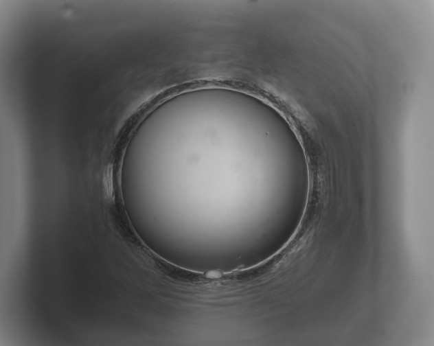 X0000102381262200808081130
