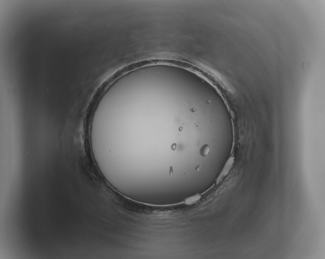 X0000102381264200808081130