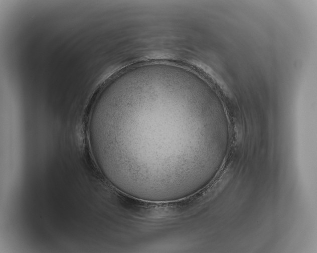 X0000102381266200808081130