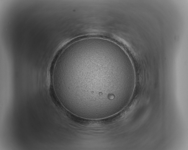 X0000102381267200808081130
