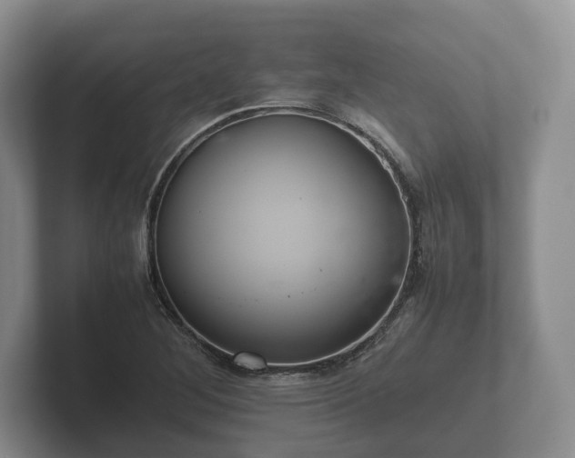X0000102381268200808081130