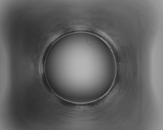 X0000102381269200808081130