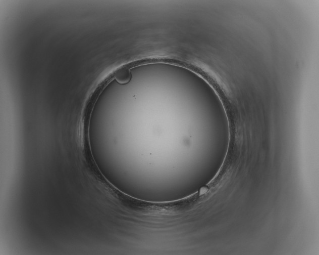 X0000102381270200808081130