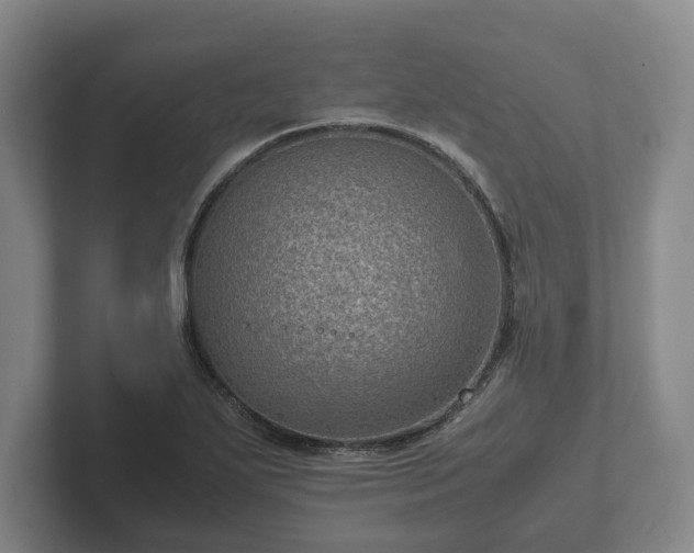 X0000102381271200808081130