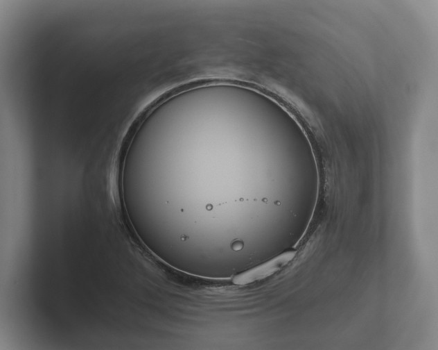 X0000102381272200808081130