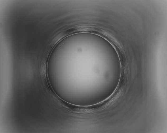 X0000102381273200808081130