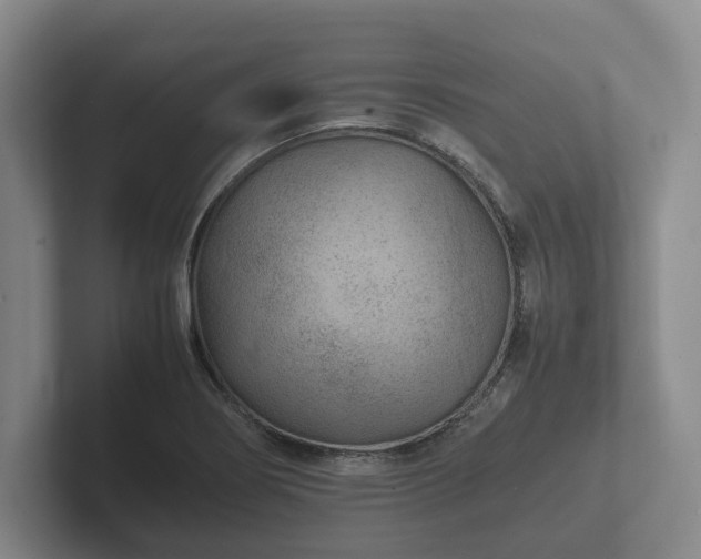 X0000102381274200808081130