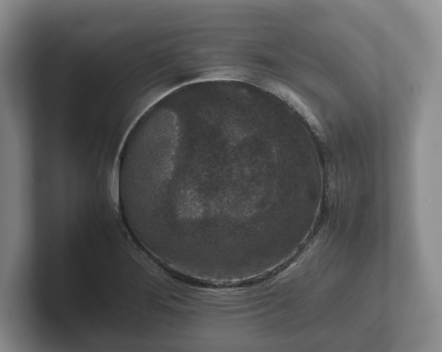 X0000102381276200808081130