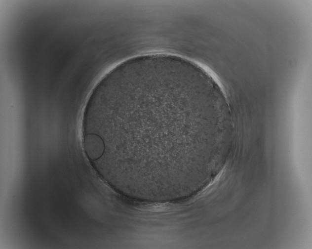 X0000102381279200808081130