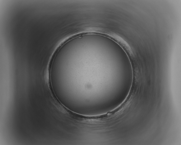 X0000102381280200808081130