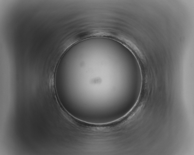 X0000102381281200808081130