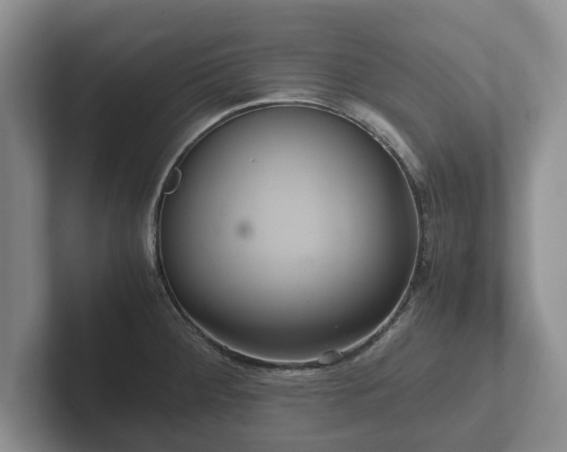 X0000102381284200808081130