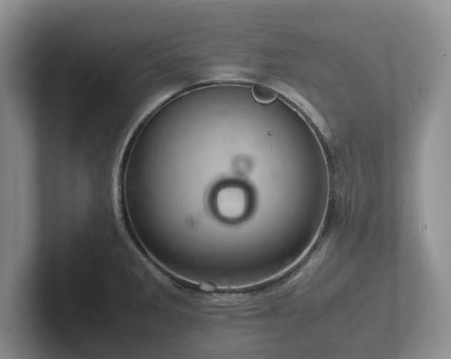 X0000102381285200808081130