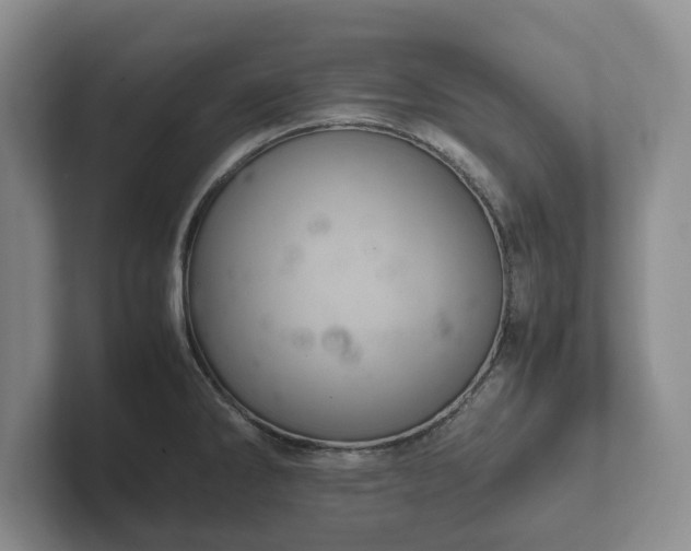X0000102381286200808081130
