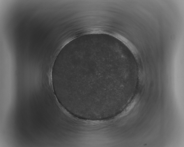 X0000102381289200808081130