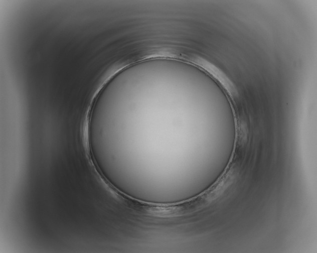 X0000102381290200808081130
