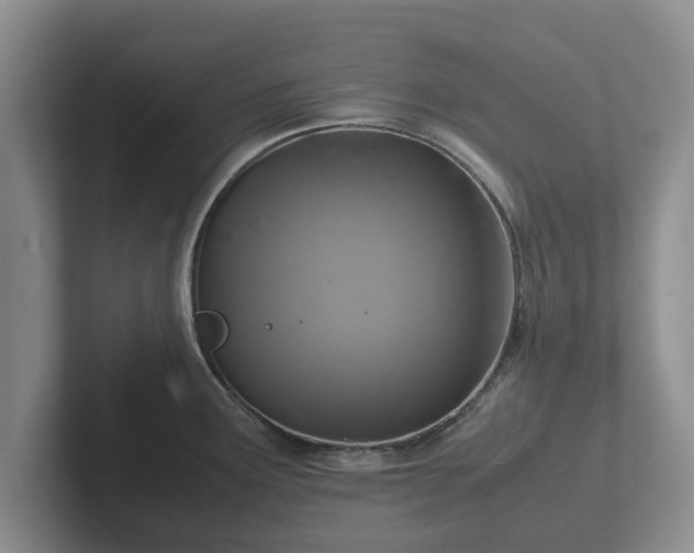X0000102381291200808081130