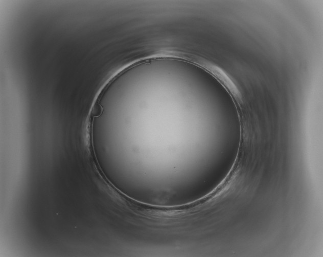 X0000102381292200808081130