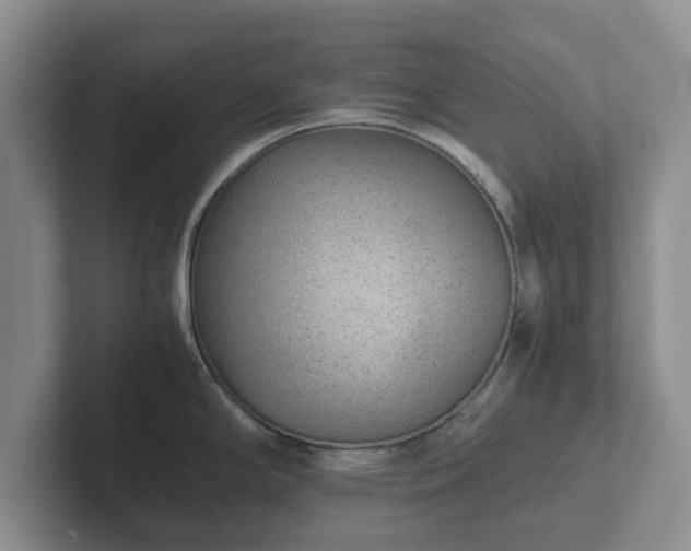 X0000102381294200808081130