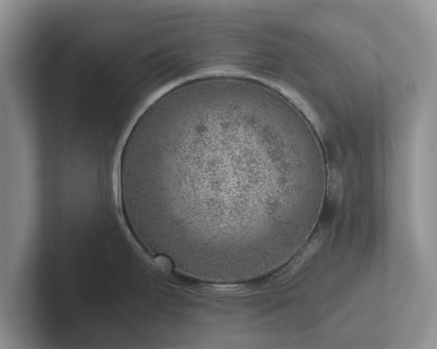 X0000102381295200808081130