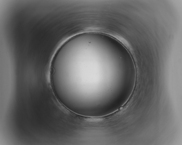 X0000102381296200808081130