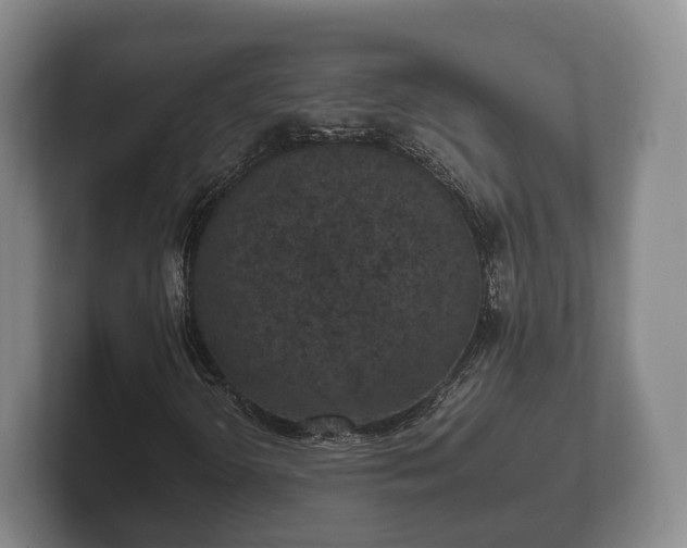 X0000102381298200808081129
