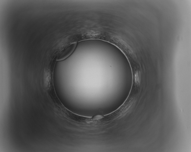 X0000102381299200808081129
