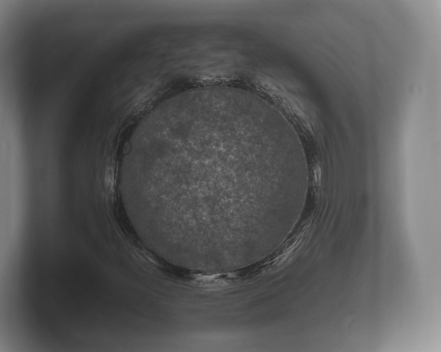 X0000102381300200808081129