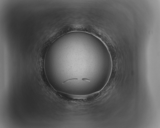 X0000102381301200808081129