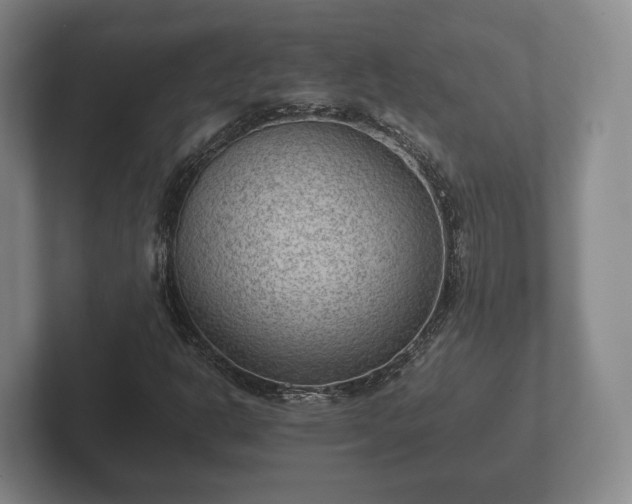 X0000102381302200808081129