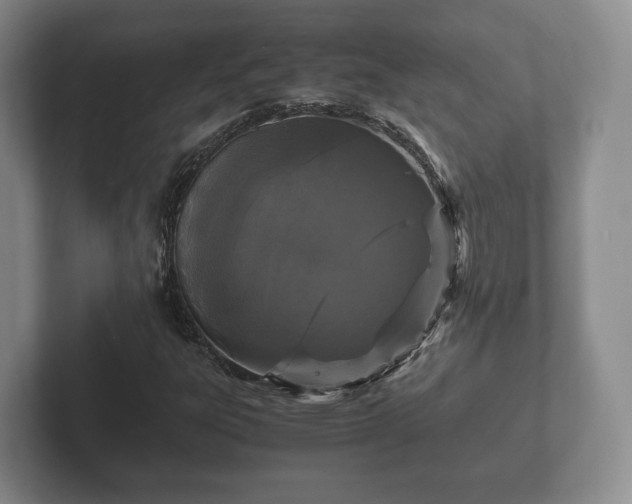 X0000102381303200808081129
