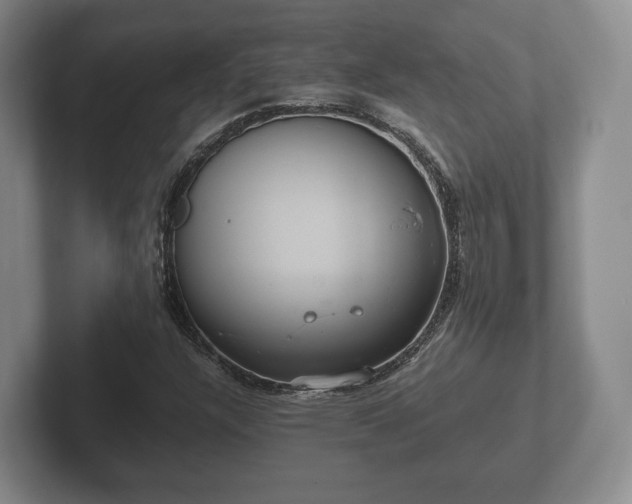 X0000102381304200808081129