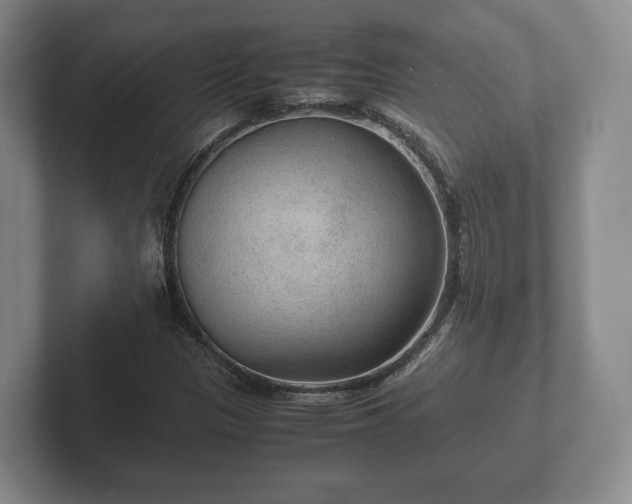 X0000102381305200808081129