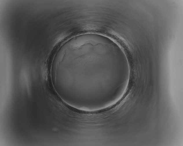 X0000102381306200808081129