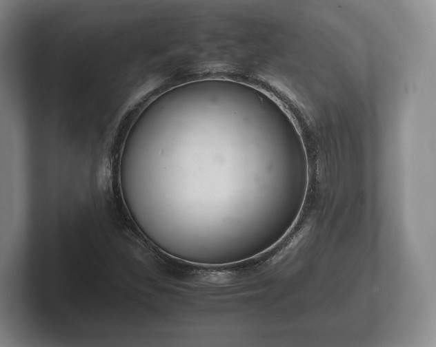 X0000102381309200808081129