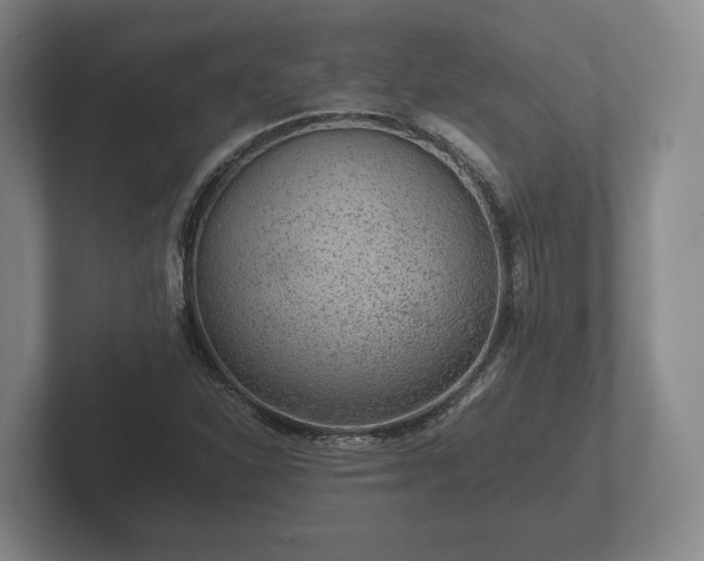 X0000102381310200808081129
